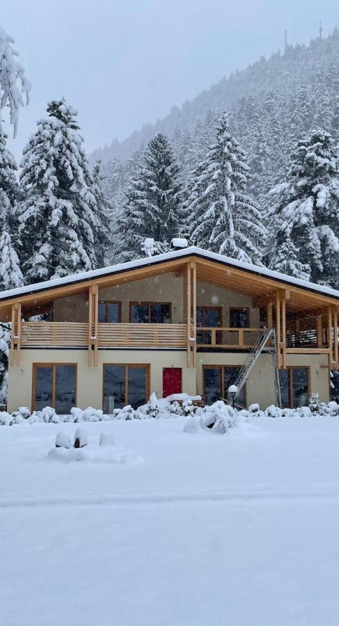 Villa Chalet Relax Molveno E Andalo Dolomiti Exterior foto