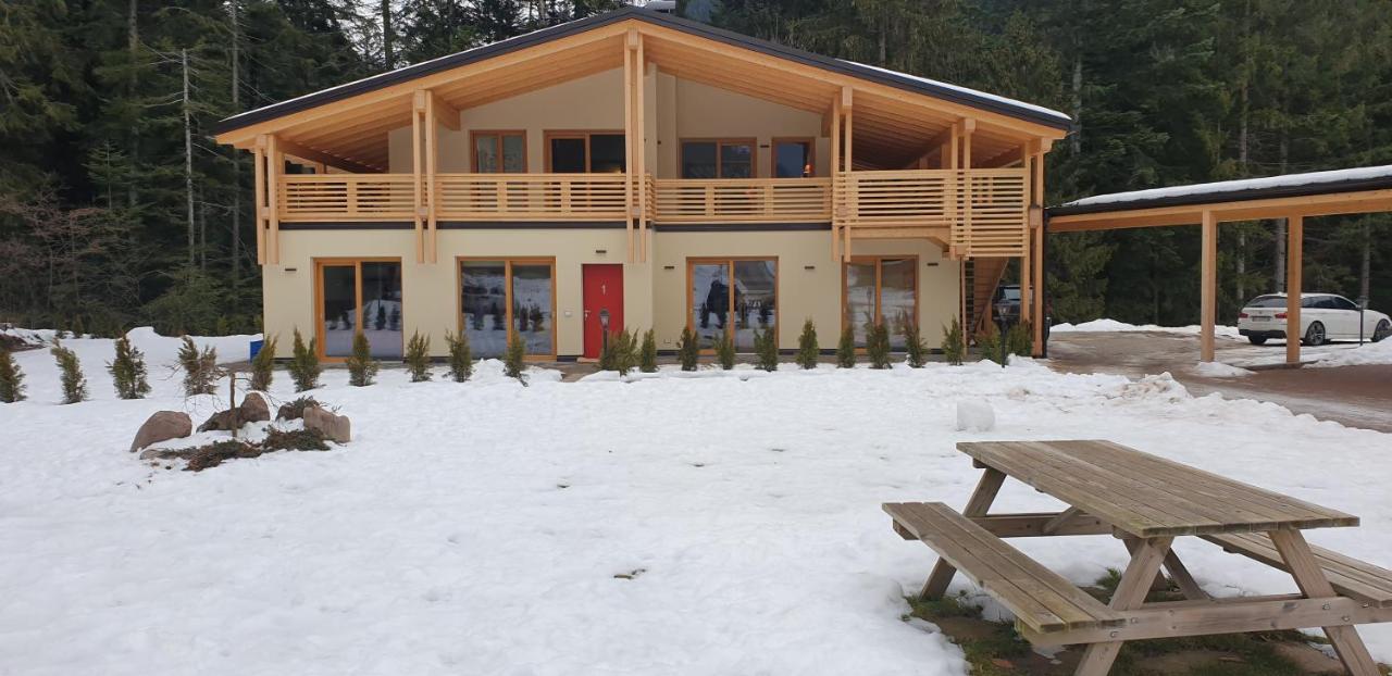 Villa Chalet Relax Molveno E Andalo Dolomiti Exterior foto