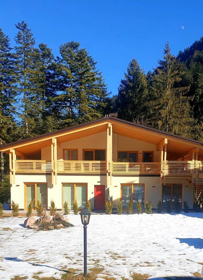 Villa Chalet Relax Molveno E Andalo Dolomiti Exterior foto