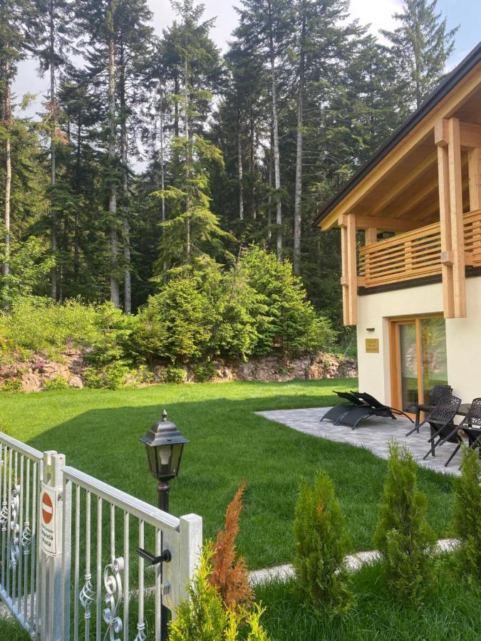 Villa Chalet Relax Molveno E Andalo Dolomiti Exterior foto