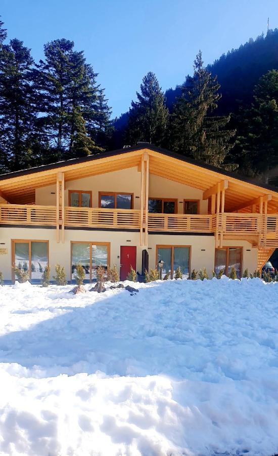 Villa Chalet Relax Molveno E Andalo Dolomiti Exterior foto