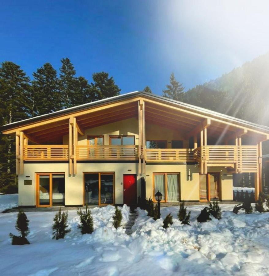Villa Chalet Relax Molveno E Andalo Dolomiti Exterior foto