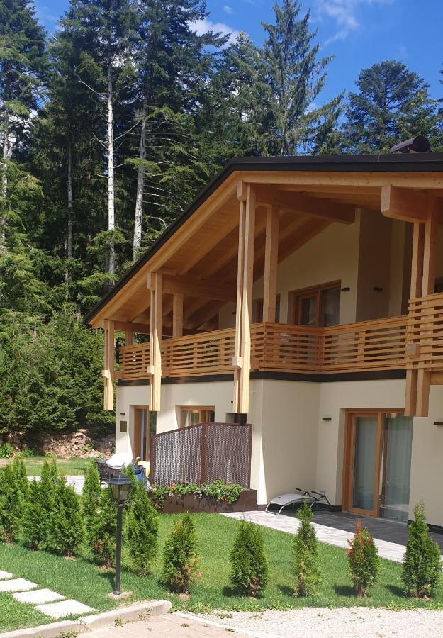 Villa Chalet Relax Molveno E Andalo Dolomiti Exterior foto