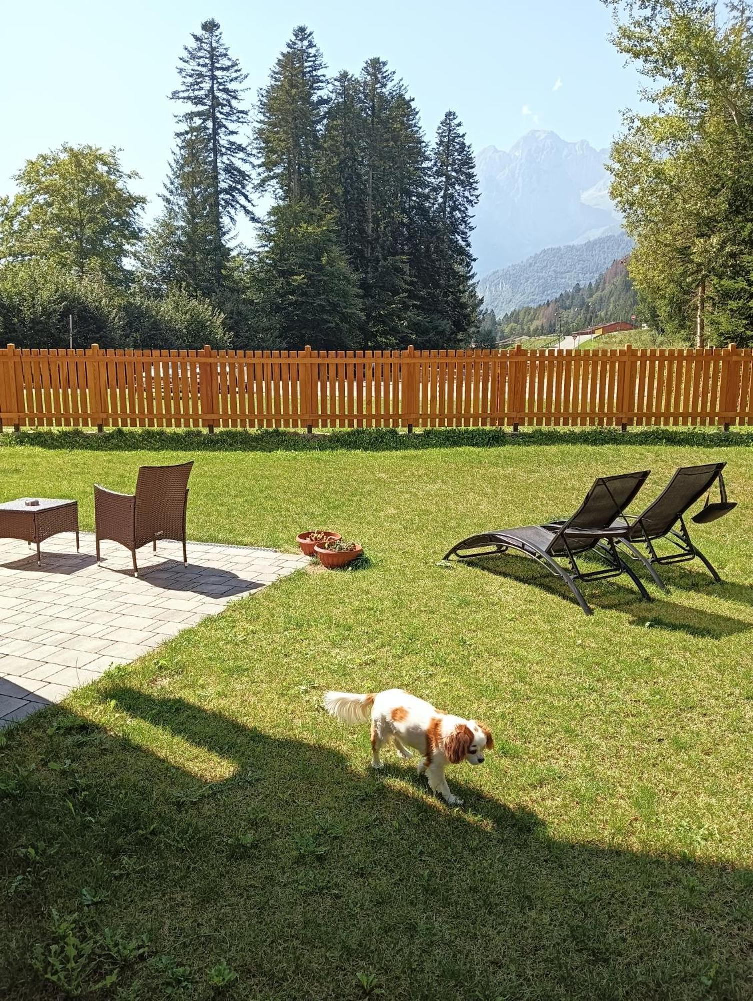 Villa Chalet Relax Molveno E Andalo Dolomiti Exterior foto